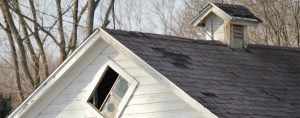 costs for material options when replacing you roof